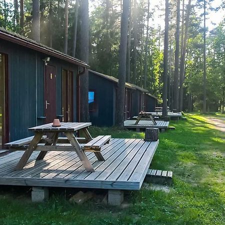 Kempings Ozolkalns Cēsis Exteriör bild
