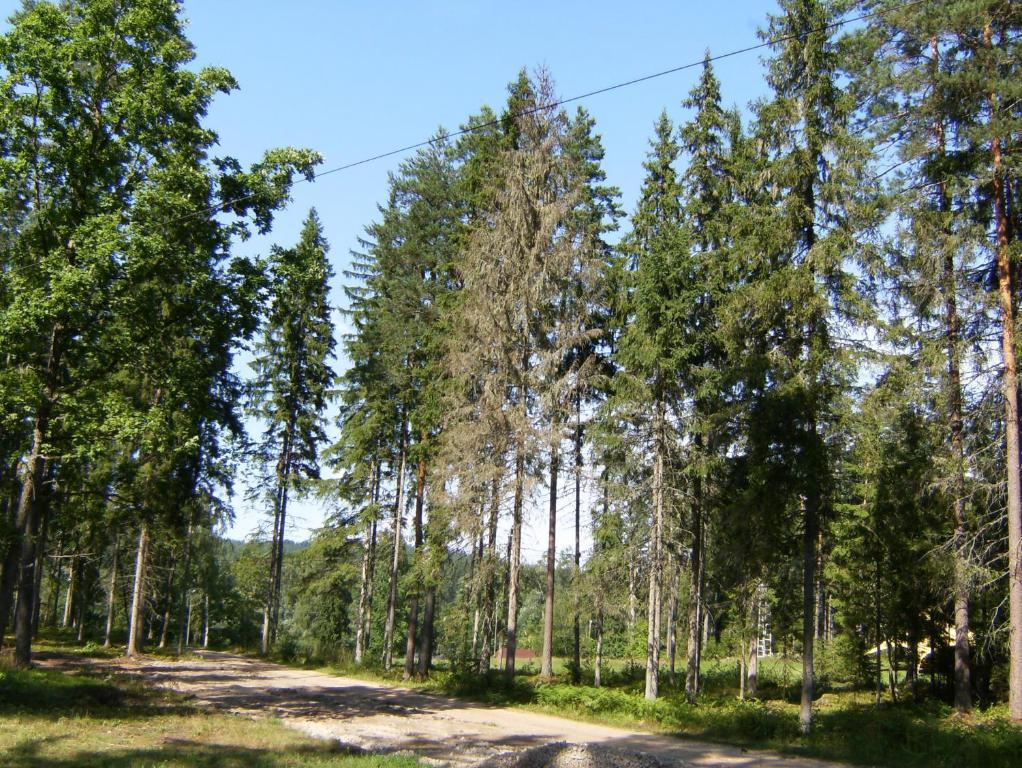 Kempings Ozolkalns Cēsis Exteriör bild