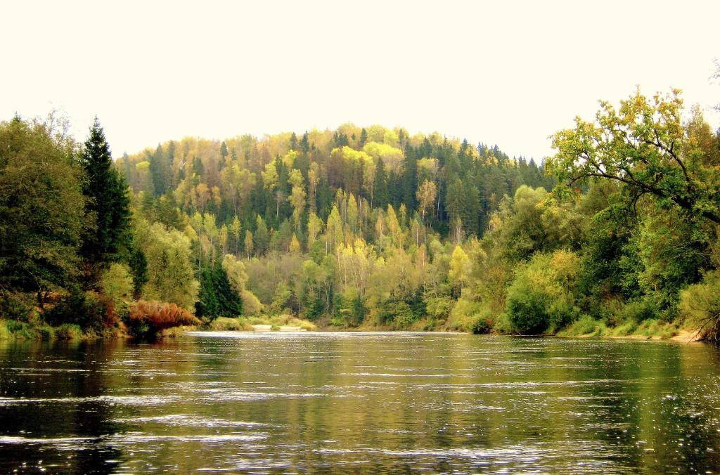 Kempings Ozolkalns Cēsis Exteriör bild
