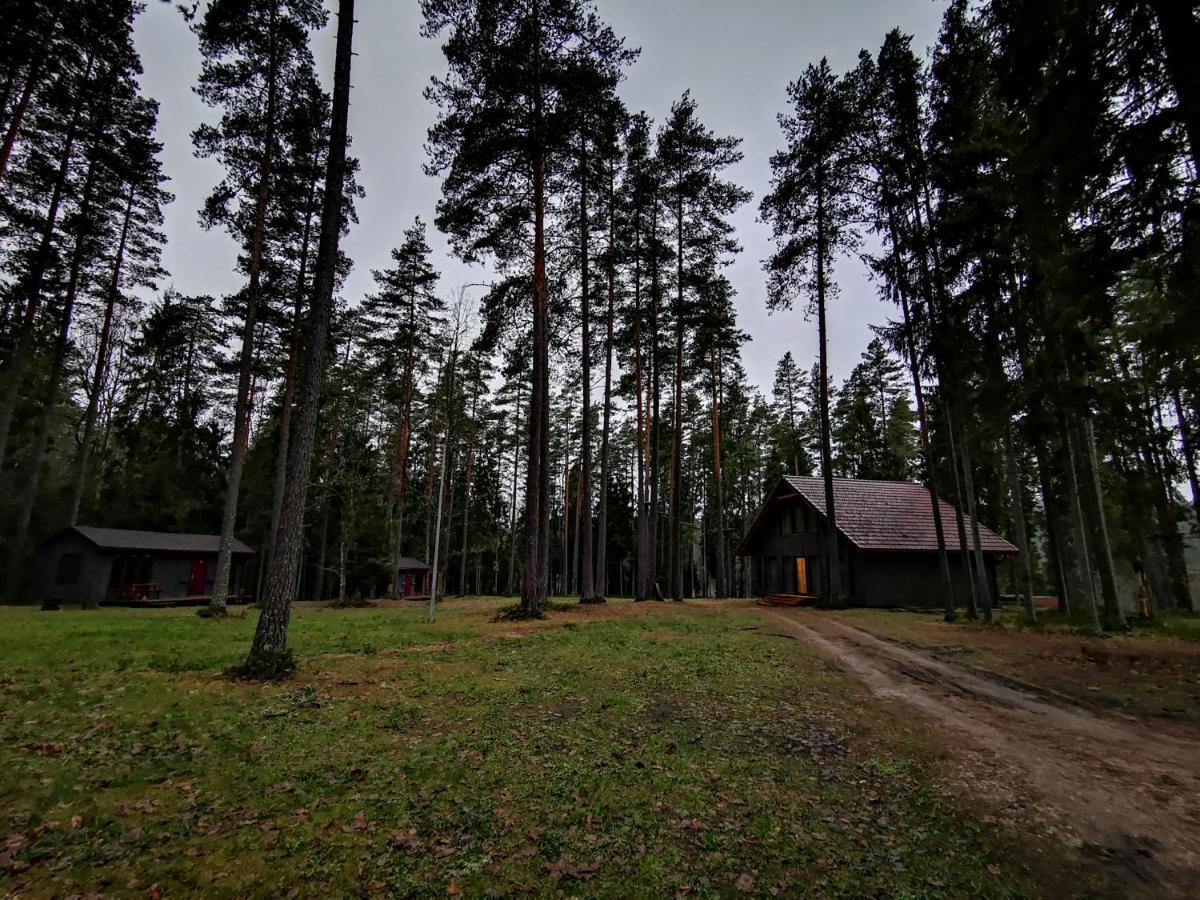 Kempings Ozolkalns Cēsis Exteriör bild